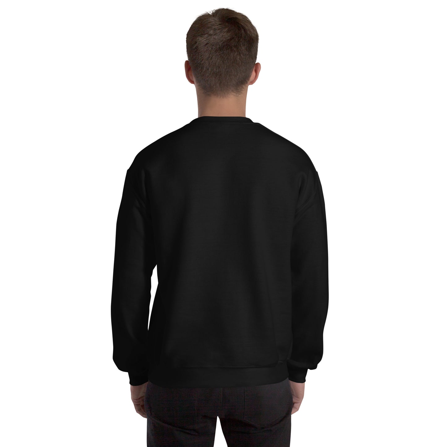 Men’s Sweatshirt, Great Smoky Mountains, black, back men