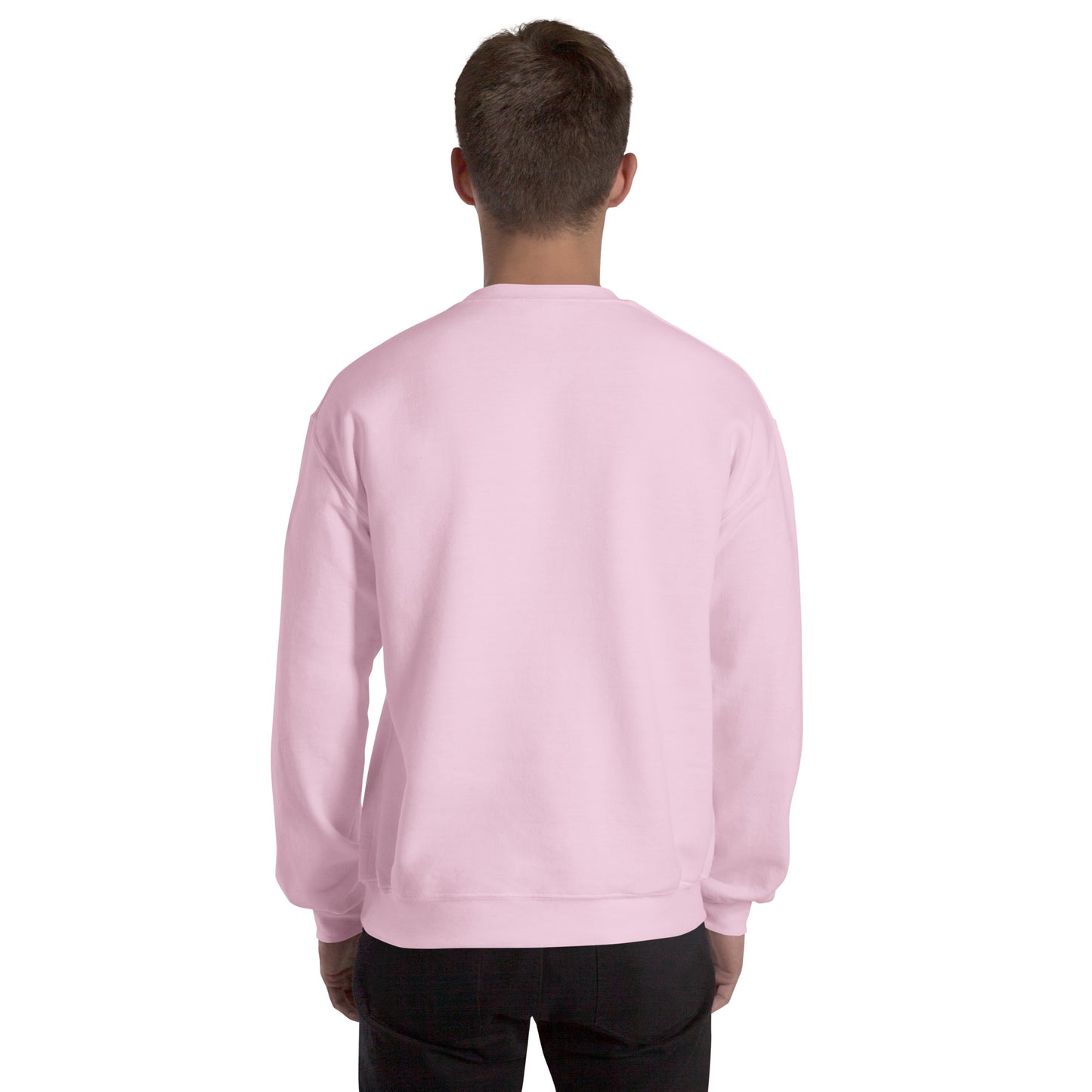 Men’s Sweatshirt, Great Smoky Mountains, light pink, back side men