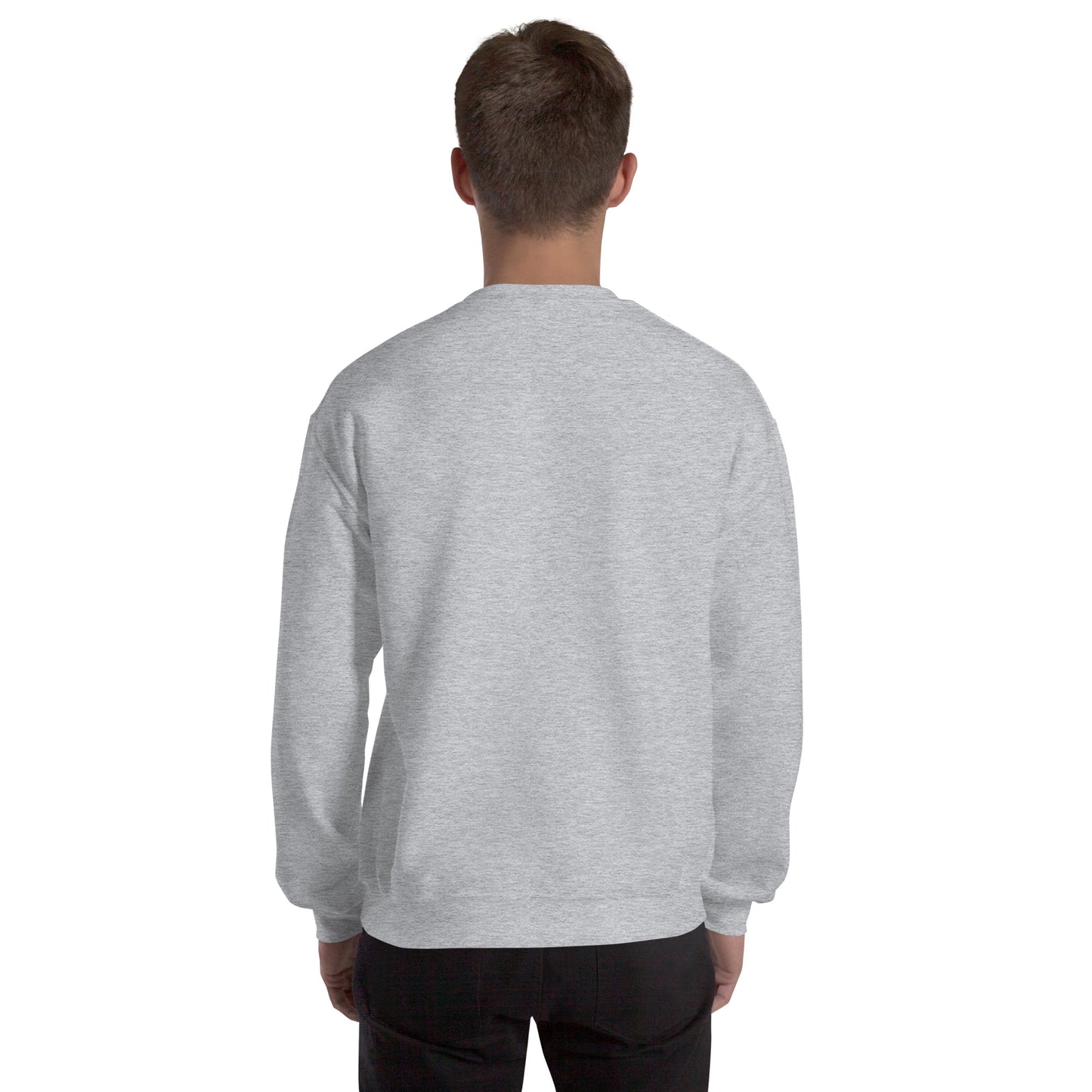 Men’s Sweatshirt, Great Smoky Mountains, gray, back side men